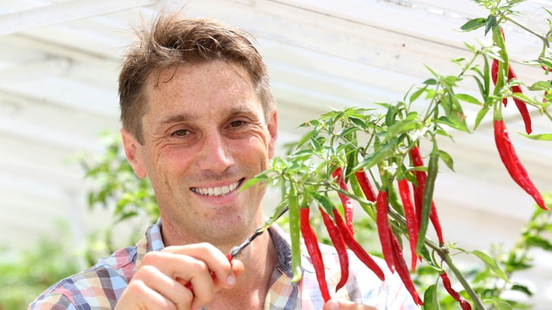 Tom Brown, West Dean Gardens Head Gardener. Photo credit: Sam Stephenson