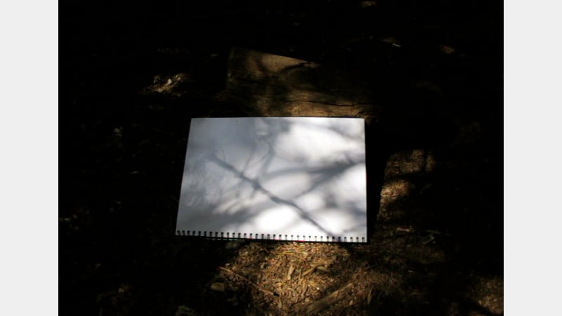 Artwork by Tiffany Robinson Digital Sketch 