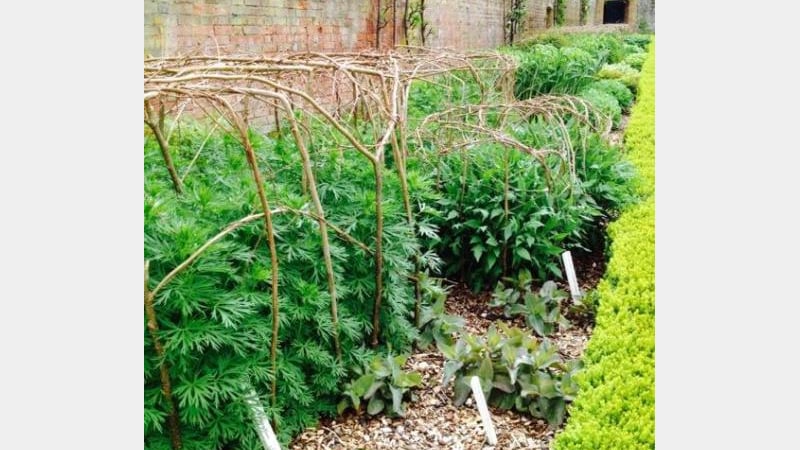 West Dean Gardens in West Sussex