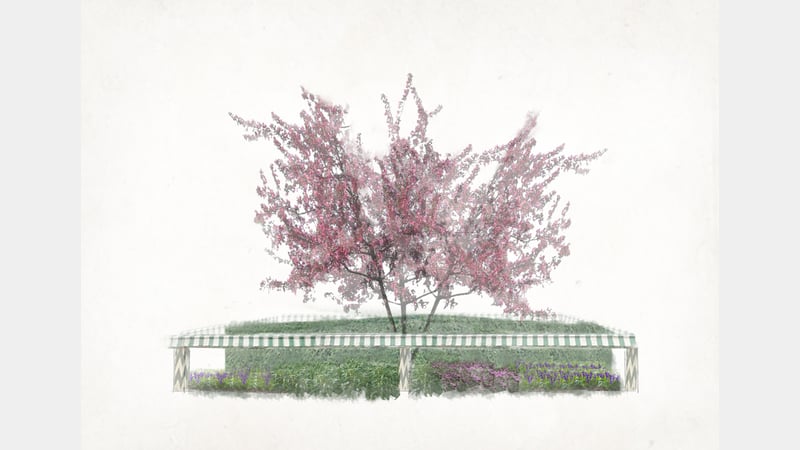 Elevation: Aromatic bed in Autumn