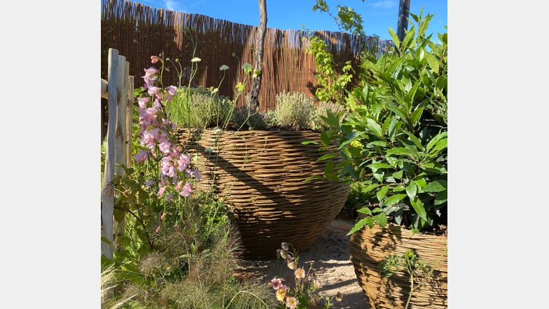 Jonny Lincoln installing ‘Pocket Potager’