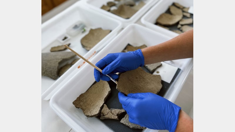 archaeological ceramics from the Novium Museum