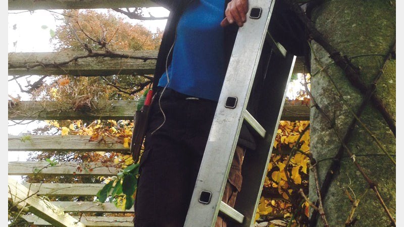 Anne the border queen gets to grips with pruning on the pergola
