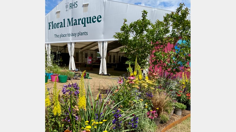 Tom Pilgrim RHS install of Hot Pocket