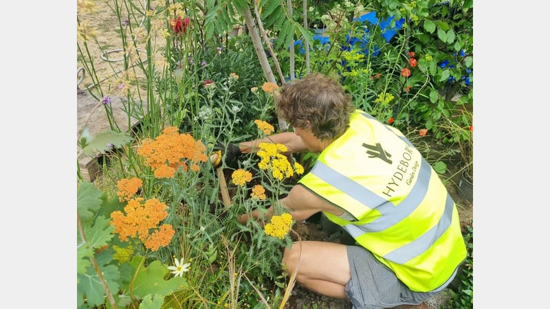 Robert Pryor at RHS installing  'Wild Beasts, A Colourist’s Garden'