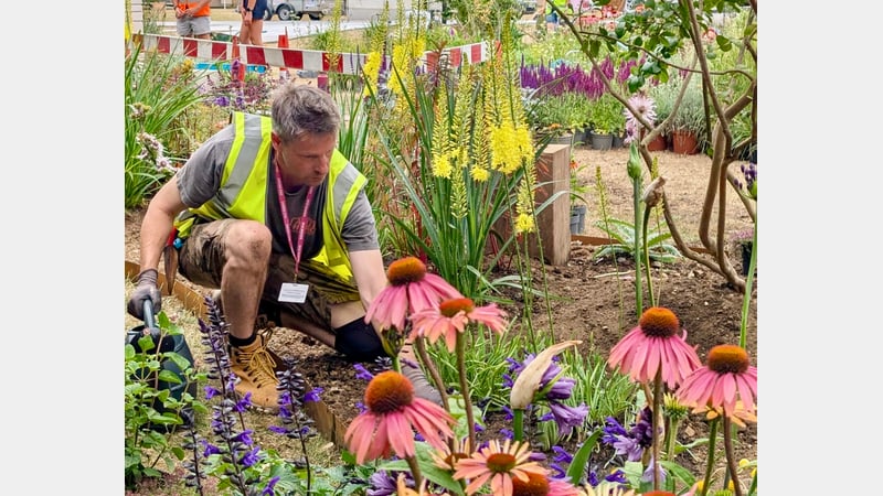 Tom Pilgrim RHS install of Hot Pocket