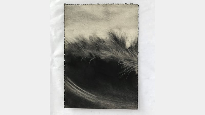 Kate Boucher, new - May 2020