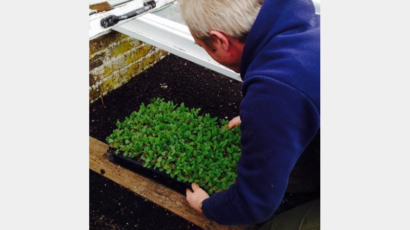 Shaun the Gardner at West Dean Gardens, West Sussex