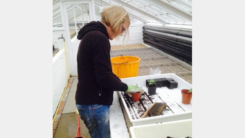 West Dean Volunteer Potting Up