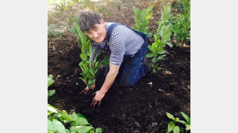 Jim Buckland Gardens Manager at West Dean Gardens