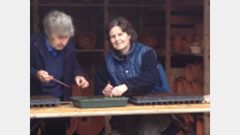 Volunteer gardners helping at West Dean Gardens