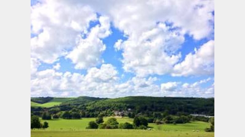 St Roche's Arboretum at West Dean Gardens West Sussex