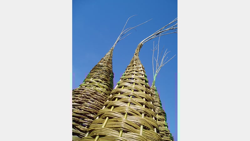 Dominic Parrette cones