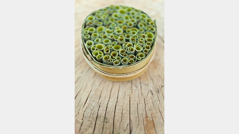 Tim Johnson Willow Bark Scrolls