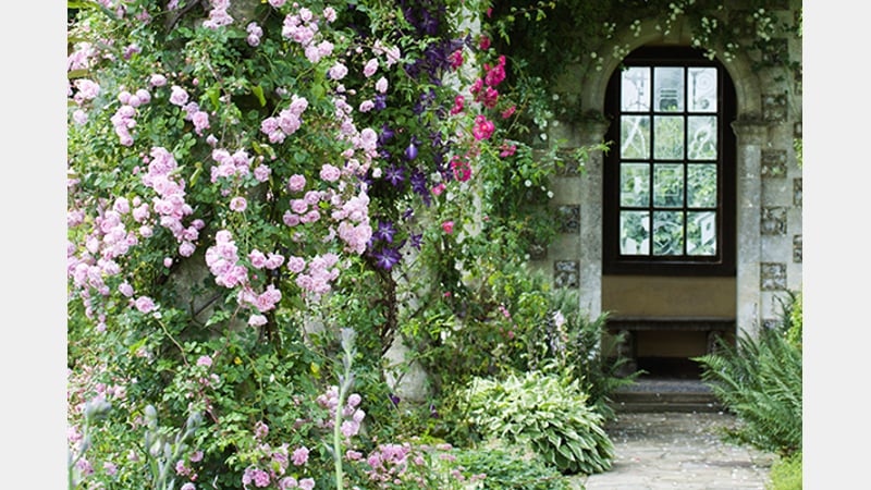 Edwardian Pergola in summer at West Dean Gardens