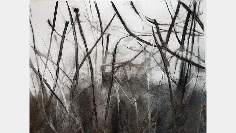 Work by Melanie Rose at West Dean College of Arts and Conservation