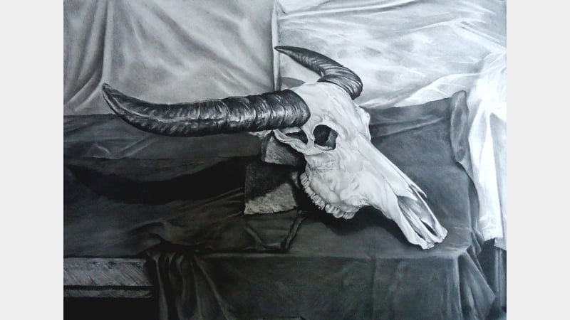 Andrew Fitchett - 'Skull', charcoal