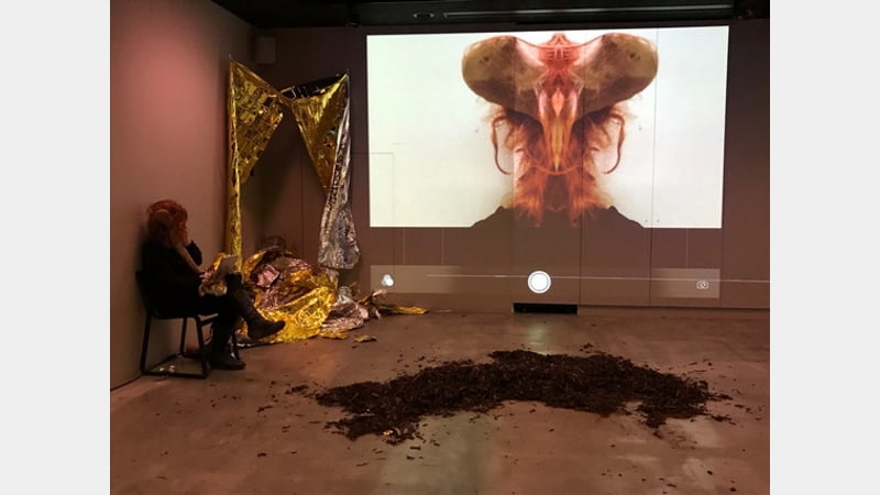 Isobel Smith Tate Modern 2