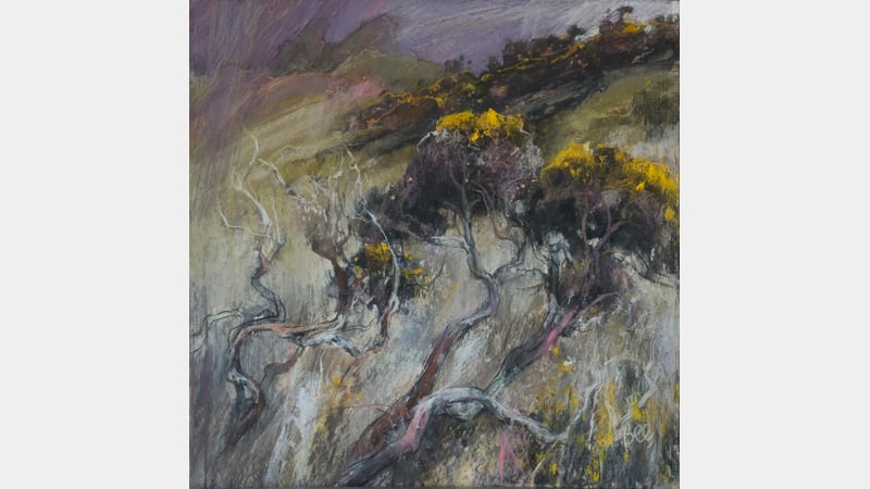 Gorse at Start Point, pastel with acrylic