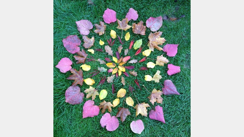 'Leaf Mandala 8' by Dan Lobb