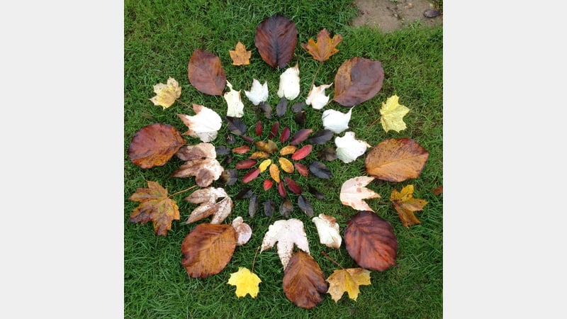 Leaf_Mandala_3_Dan_Lobb