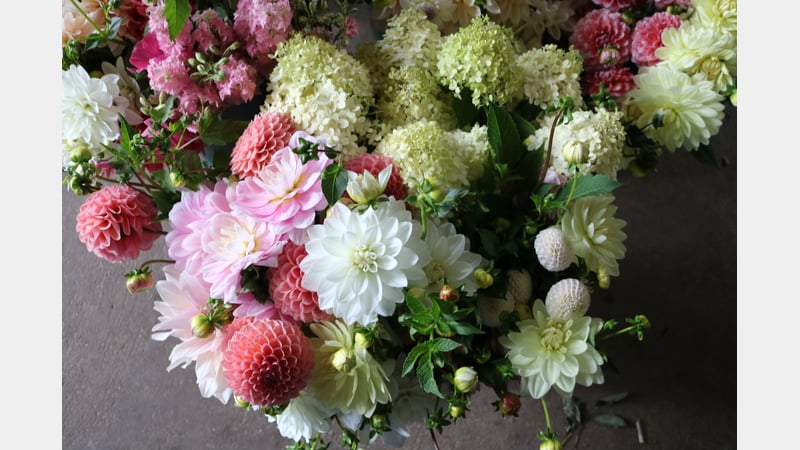 Georgie Newbery Tutor at West Dean College of Arts and Conservation