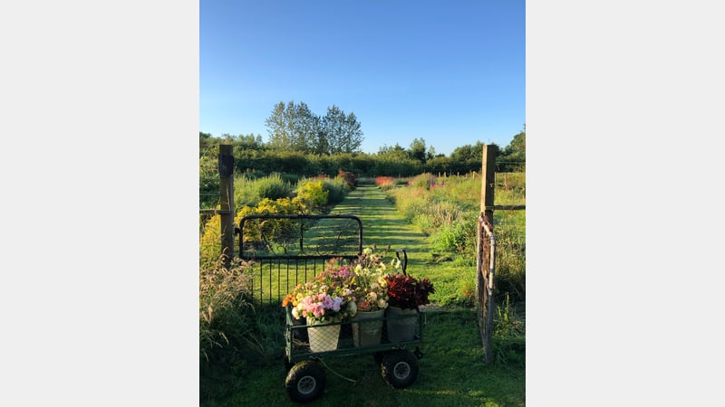 Georgie Newbery Tutor at West Dean College of Arts and Conservation