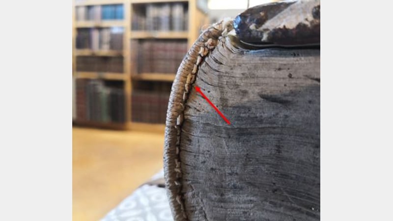 Figure 8: alum tawed strips visible underneath the primary end band (arrow)