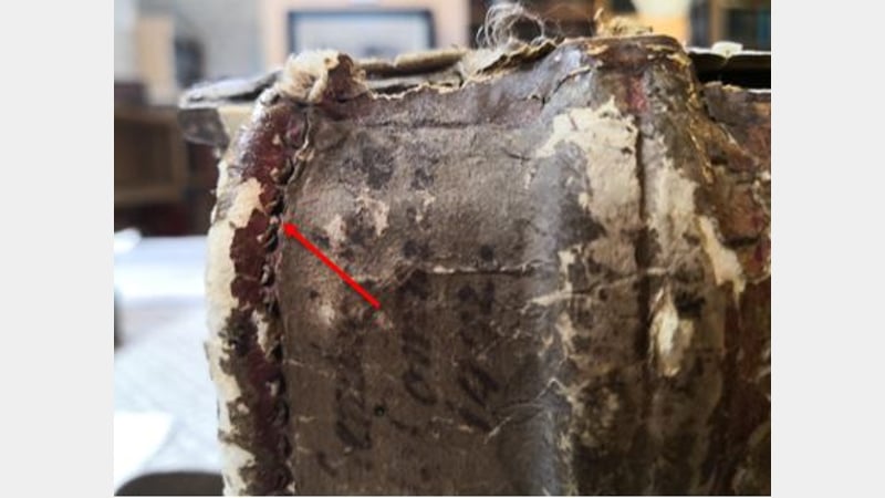 Figure 4: alum tawed strips visible on the spine (arrow)