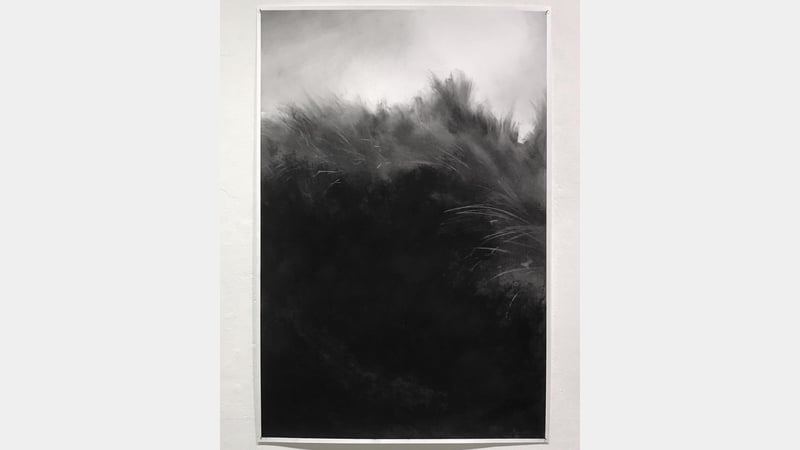 Kate Boucher, new - May 2020