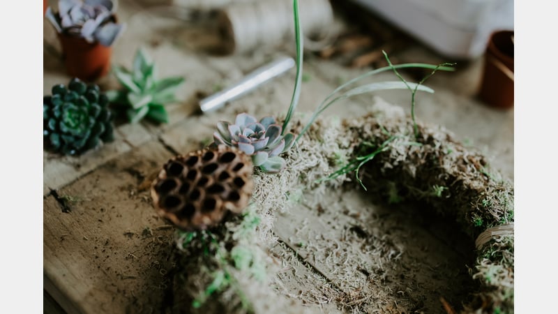 Alys Dobbie - living wreath
