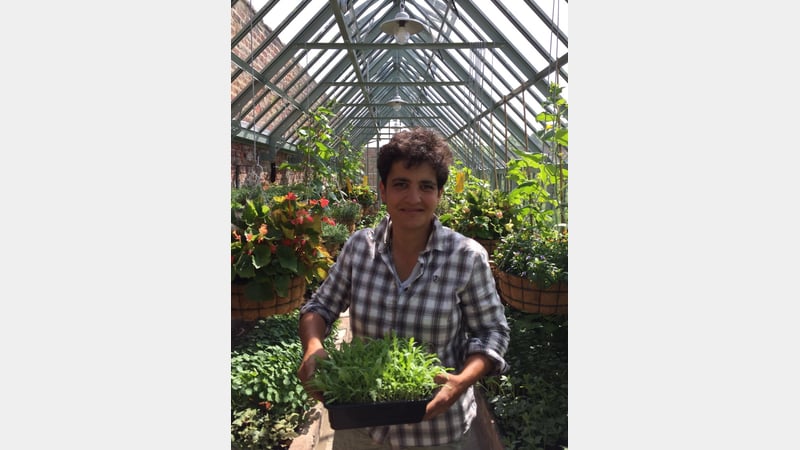 Sylvia Travers - horticulture tutor at West Dean College