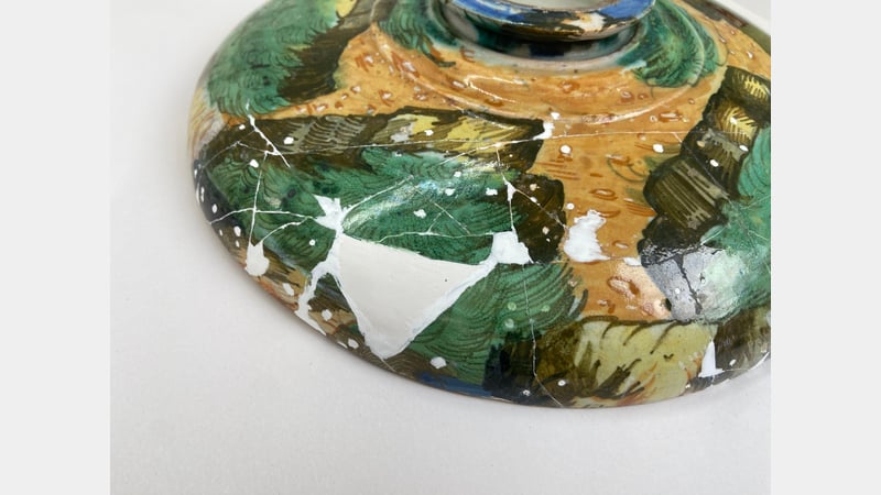 Figure 6: The removable fill visible from the back of the dish.