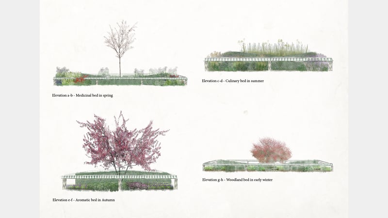 'Patterns of the Past' Planting elevations