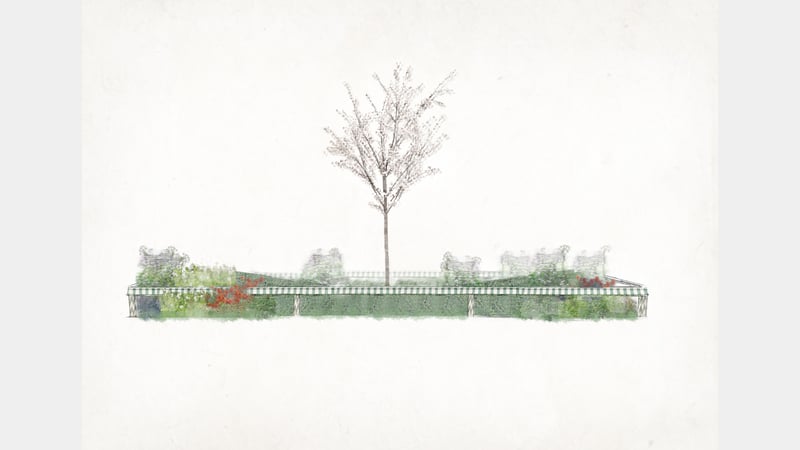 Elevation: Medicinal bed in Spring