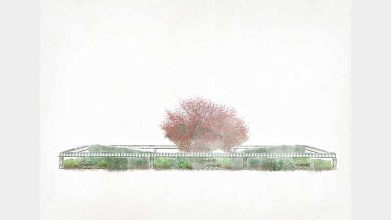 Elevation: Woodland bed in Winter