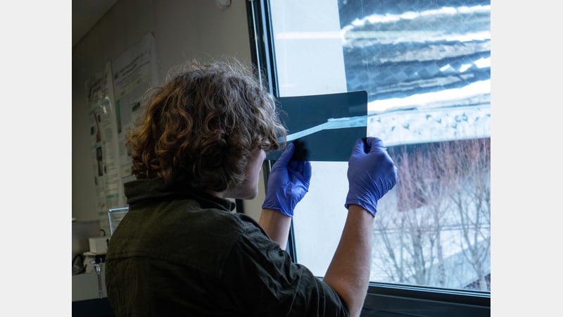 Image credit Devin Valentine