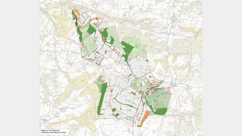 The West Dean estate - habitats