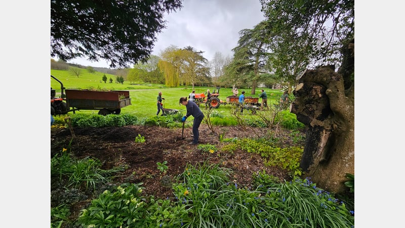 Horticulture work placement at West Dean Gardens