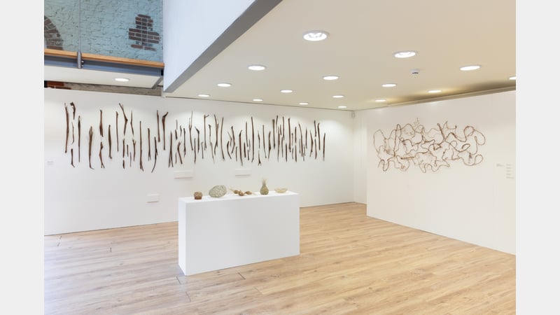 West Dean Summer Show 2024