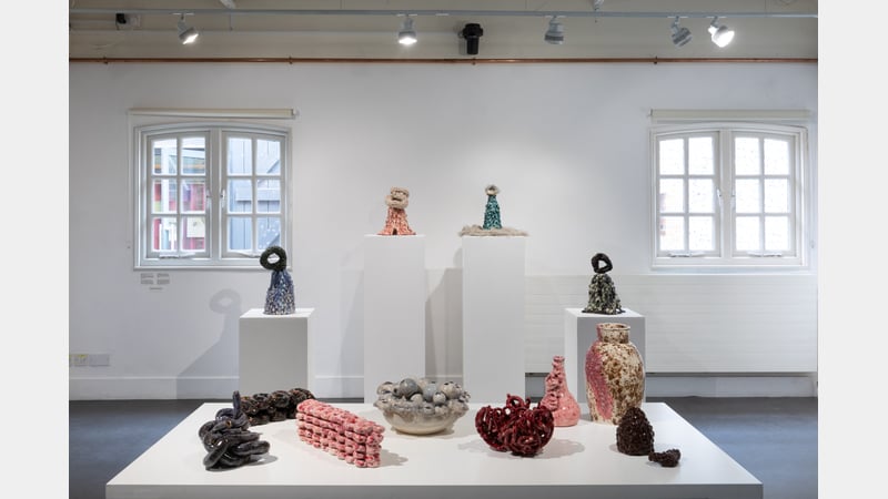 West Dean Summer Show 2024