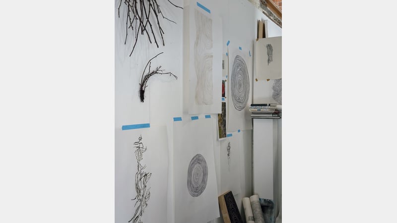 Anoushka Cole at West Dean College