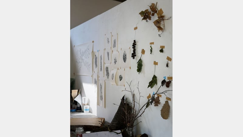 Anoushka Cole at West Dean College