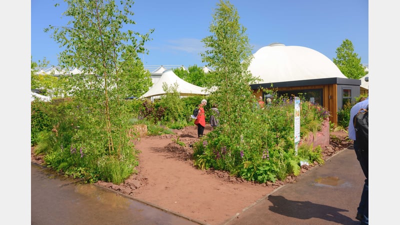 The Medicinal Garden. Image credit Nigel Wood