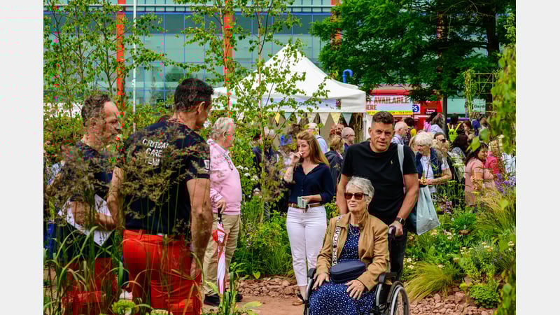 The Medicinal Garden. Image credit Nigel Wood