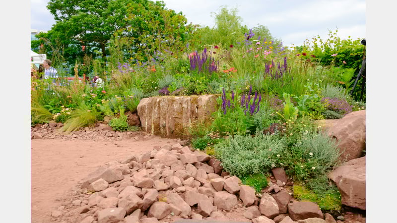 The Medicinal Garden. Image credit Nigel Wood