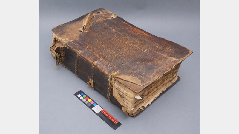 : the Kreuterbuch before conservation