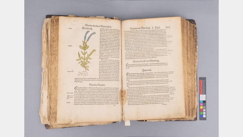 details of damaged and loose pages. Photos courtesy of Amy Randall with thanks to West Dean College Books Department, owners of the Kreuterbuch.