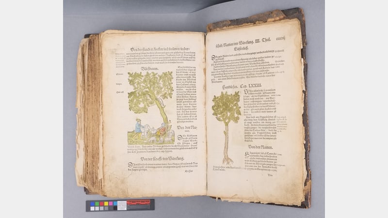 The Kreuterbuch before conservation