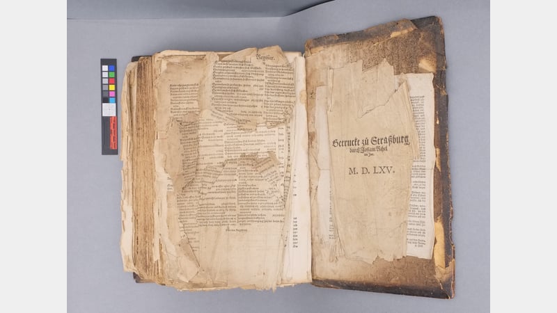 details of damaged and loose pages